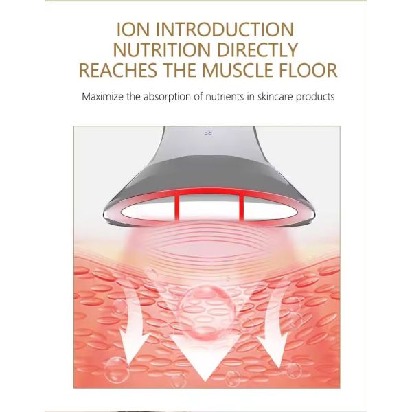 RF EMS Microcurrent Anti Aging Face And Neck Lifting Massager Red Light Therapy