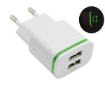hot selling Luminous 2 USB charger in promotion