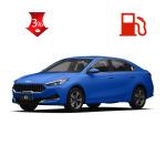 2023 2024 Top Sale 0Km Petrol Small Car Gas Powered Vehicle Electric Car 0km