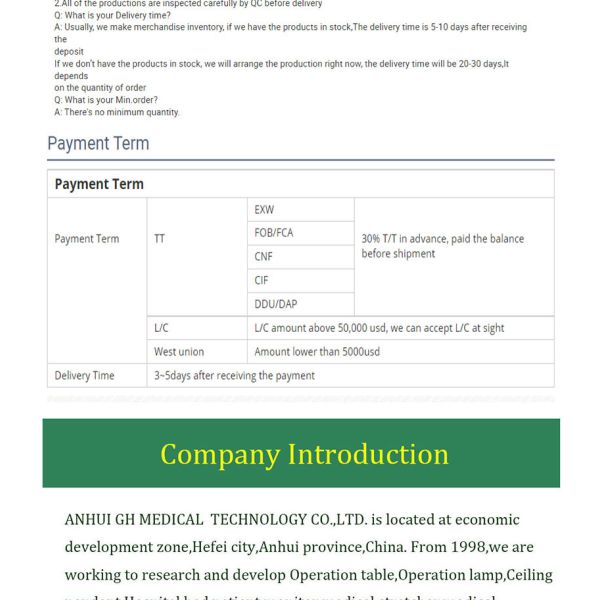 Multifunction Home Health Care Hospital Bed With Toilet Electric Adjustable