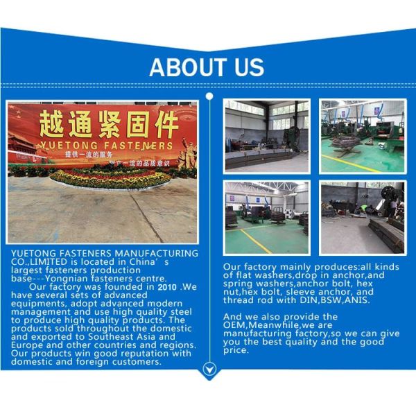 Blue M6-M12 Fine Thread Drywall Screw Customized Gypsum