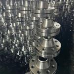 ASTM Stainless Steel Forged Flange Pipe Fittings XXS Pn63 THR