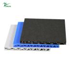 6mm 7mm 9mm 10mm Coroplast Board Polypropylene Honeycomb Panel