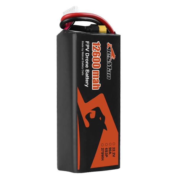 6S3P P42A Battery Pack 12600mAh Molicel 21700 Low Temperature Battery for FPV