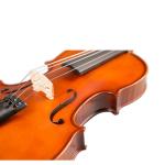 One of the most important instruments, known as the queen of instruments High