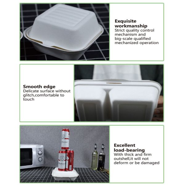 Compostable Biodegradable Food Containers for Takeaway & To-Go Packaging