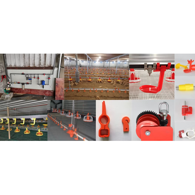 Automatic Poultry Feeding System with Galvanized Steel Construction and Automatic Feeding Control for Chicken Farm Equipment