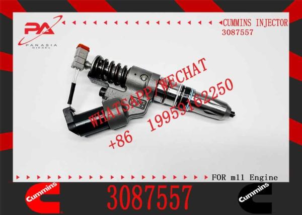 Unit Pump Injector Common Rail Injector 3652542 3652541 3411752 3087557 3084589