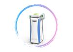 2019 CE approved Freeze cryolipolysis vacuum RF body slimming beauty cryolipolys