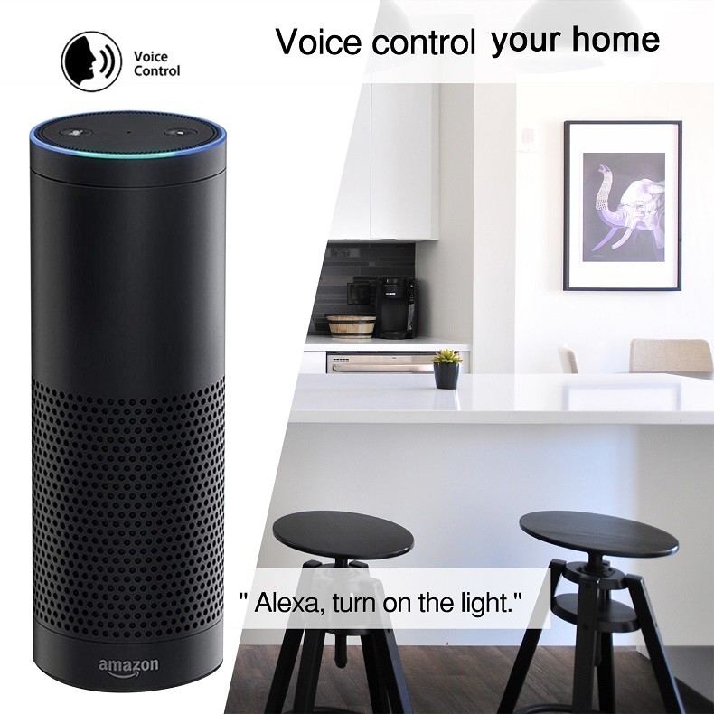 Tuya Amazon Google Alexa App Timer Remote Control Smart Wall Power Socket