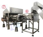 Industrial Shrimp Deheading Machine SUS316 Durable For Head Cutting