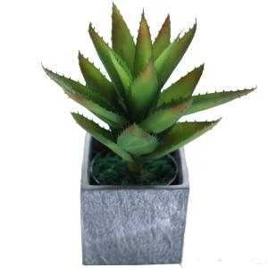 Wholesale Indoor Decor Artificial Succulent Plant No Nursing Evergreen Four Seasons 50cm Bespoke Bonsai For Hotel Table from china suppliers