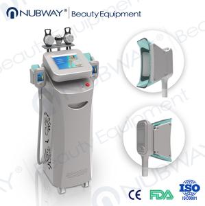 Wholesale Freeze fats system handle vacuum slimming massager from china suppliers