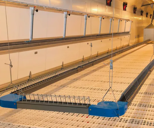 Automatic Poultry Feeding System with Galvanized Steel Construction and Automatic Feeding Control for Chicken Farm Equipment