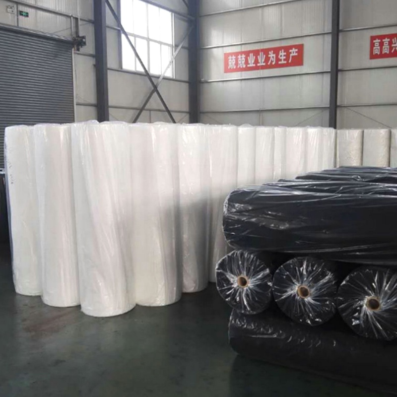 Plain Style Nonwoven Fabric for Bed Sheet Packaging 100% PP Spunbond Non Woven Fabric