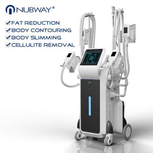 Wholesale 2018 newest 2500W 3 years warranty best seller 4 heads Cryolipolysis slimming machine for beauty salon from china suppliers