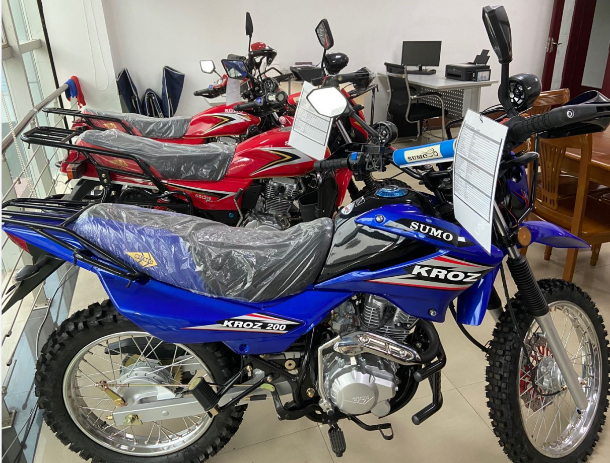 Speedo powerful engine street legal dirt motorcycle vig rx cheap import 200cc dirtbike 250cc