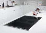 500*500 Black and Transparent Fireplace Glass Door for Infrared Electric Ceramic
