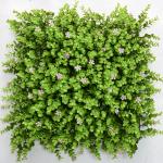 Outdoor Decorative Artificial Green Walls Panel G717 Flowers Grass Mixed 3D