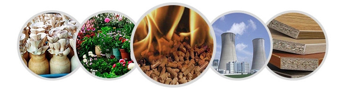 240*540mm Electric Industrial Drum Wood Chipper For Paper Mills