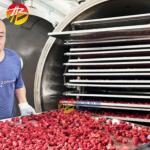 High Productivity 38kw Freeze Dryer for Fruit Coffee Sugar Candy Meat Fish
