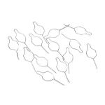 ISO Certified Dental Orthodontic Ligature Twisted 200pcs/pack Made of Medical