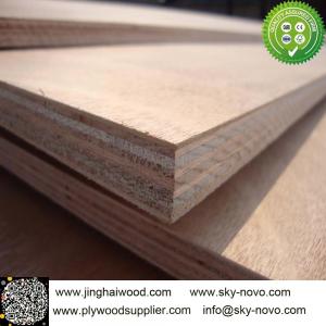 China Bintangor plywood on sale