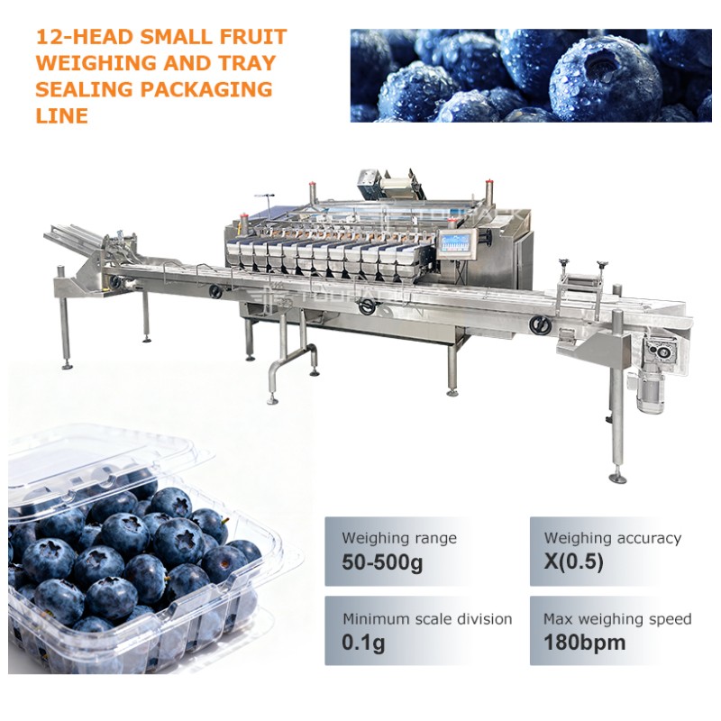 Fruit Tray Sealing Packaging Line | With Automatic Tray Denester & Fruit Linear Weigher