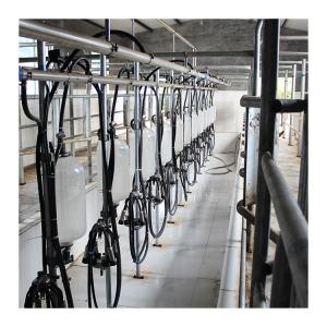 Wholesale Big 110v 20 Stalls Herringbone Milk Parlor For Cow Milking from china suppliers