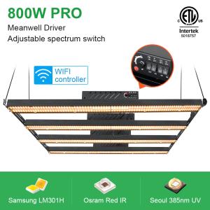 Wholesale 90 Cri LM301H LED Grow Light 5x5ft 660nm Samsung Horticulture LED Strip from china suppliers