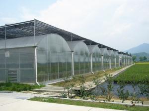Wholesale Bolting Connection Polycarbonate Panel Greenhouse , Durable Dome Shaped Greenhouse from china suppliers