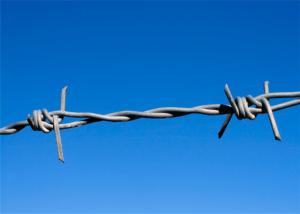 Wholesale BWG12 BWG14 Fence Galvanized Barb Wire Roll from china suppliers