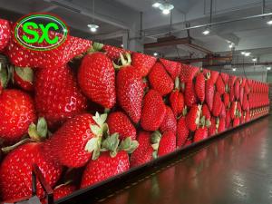 Wholesale ISO2001 4K GOB LED Display P1.667 P2.0 P2.5 Advertising Wall 1200nits from china suppliers
