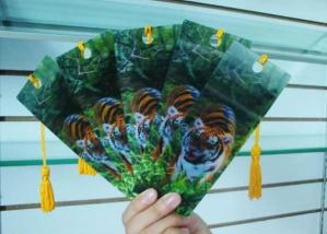 Wholesale PLASTIC LENTICULAR Printed Waterproof 3D Lenticular Bookmark pvc pp pet 3D lenticular anime bookmark with tassel from china suppliers