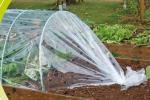 agricultural film, pe film, horticultural mulch film, garden perforated ground