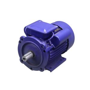 Wholesale 1 HP 4 Pole Single Phase Induction Motor 1440 Rpm from china suppliers