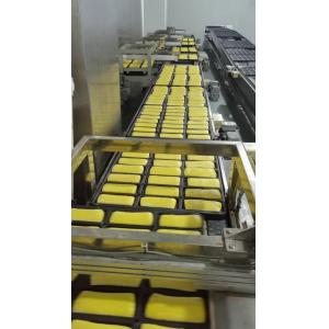 ISO9000 Bread Proofer