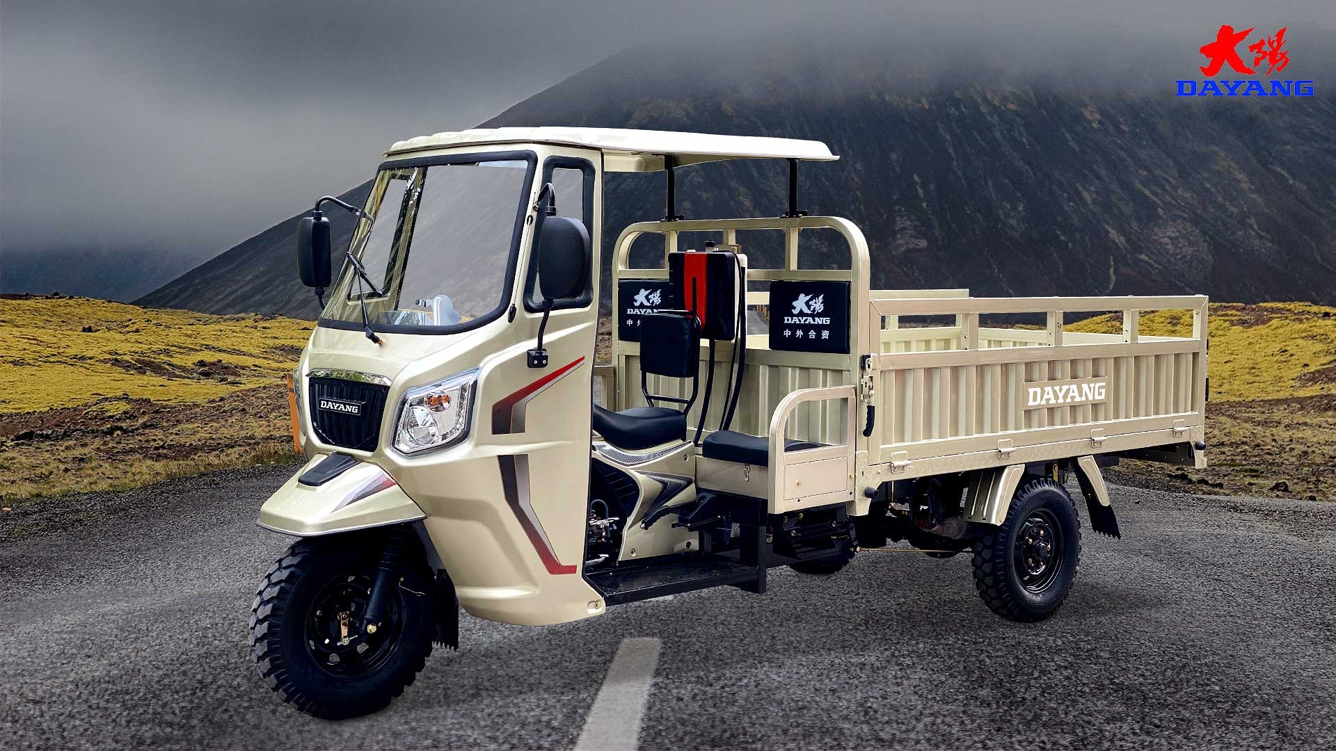 250cc 300C Cargo Tricycle Motorized Tricycle Gasoline 3 Wheels Motorcycle in Rose Gold