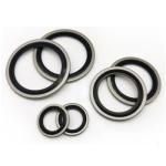 Combining Flat Washer Gasket NBR FKM Metal Flat Rubber Sealing Washers